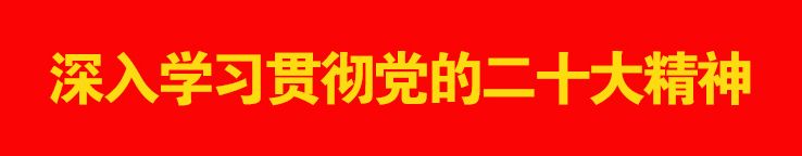 篮球训练心得500字_1